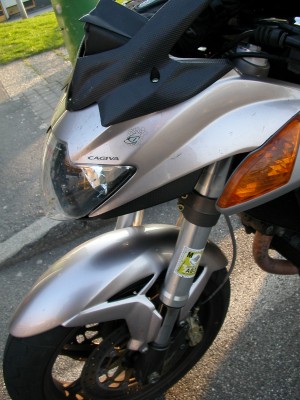 Pickerl f&uml;r den Saurier