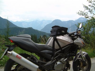 An der Halleralm