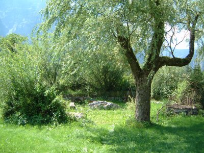 Der Grillplatz