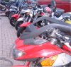 Grosses Saurier- und Elefanten-Treffen