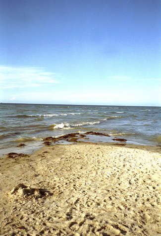 Skagen