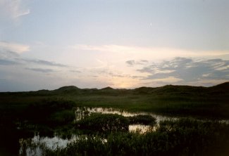 Fjord bei Skagen