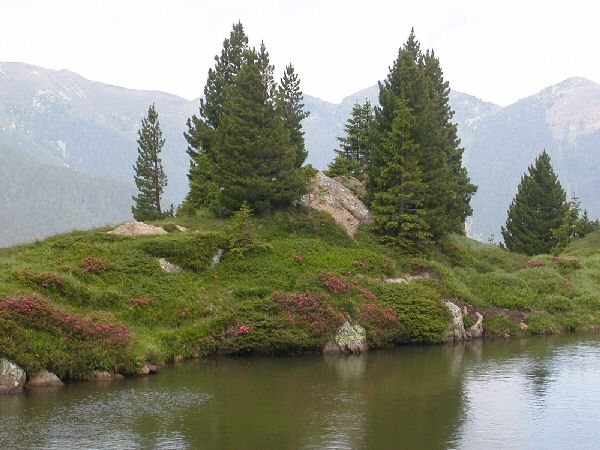 Passo Manghen