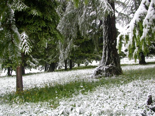 Wintereinbruch