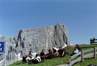 Wollen gar nicht mehr weg!
