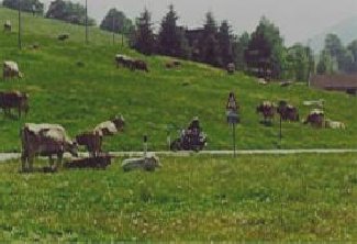 KUHALARM