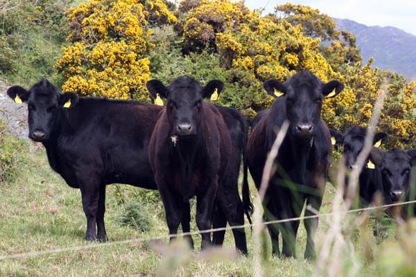 Na wer schaut denn da?