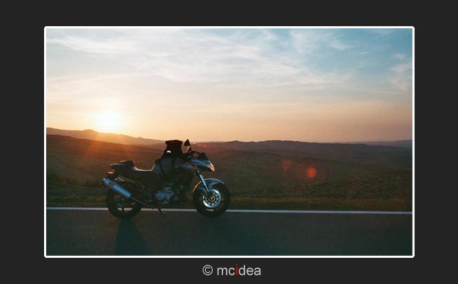 Saurier im Tal zwischen Monte Amiata und Monte Cetona