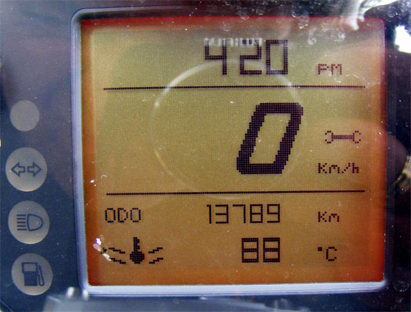 Wolfs Tuono hat Geburtstag und wird 1 Jahr!