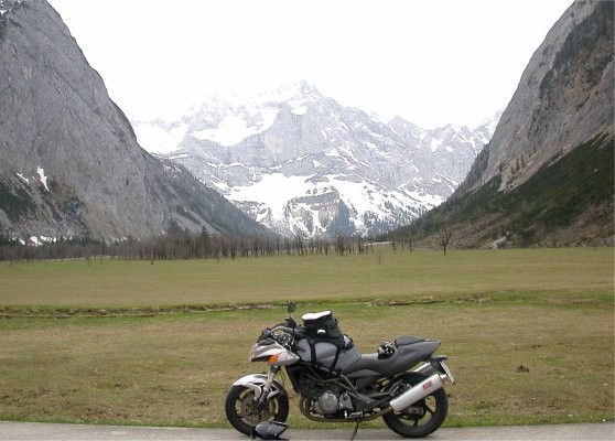 Ahornwald am Karwendel